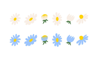 Obraz premium Set of various flower elements. Floral vector flat illustration. Chamomile daisy flower buds and petals. Botanical hand drawn spring clipart 