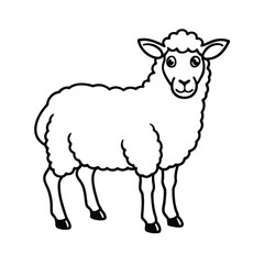 vector illustration of sheep