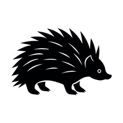 porcupine  silhouette on a white background
