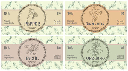 Vector set of spices food labels with hand drawn herbs sketches: pepper, basil, oregano, cinnamon. Packaging and labeling template, sticker pack. Organic, natural flavor, eco friendly, kitchen herbs. 