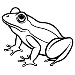 Minimalist Frog Line Art Vector