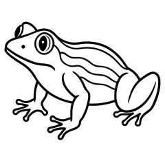Minimalist Frog Line Art Vector