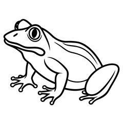 Minimalist Frog Line Art Vector