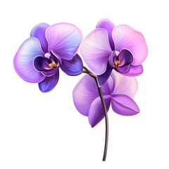 Obraz premium Beautiful purple orchids blooming gracefully in vibrant colors showcasing nature's elegance at a serene setting