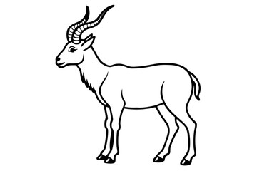 Obraz premium Markhor Minimalist Vector
