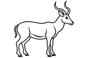 Markhor Minimalist Vector