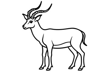 Markhor Minimalist Vector