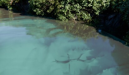 Canal view, river full of trees along the canal, nature view, landscape, 3D illustration