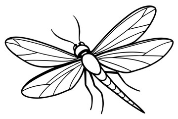 Mayfly Silhouette Sketch