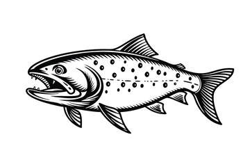 Fototapeta premium Arctic char fish vector silhouette