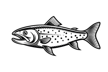 Fototapeta premium Arctic char fish vector silhouette