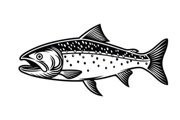 Fototapeta premium Arctic char fish vector silhouette