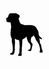 Black Dog Silhouette in Side View – Minimalist Labrador Style Vector Art