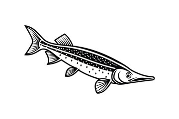 Obraz premium Silhouette of a gar fish isolated on a white background
