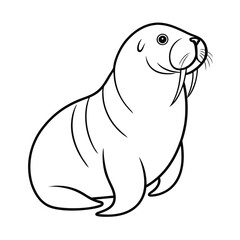 walrus line art vector on white background
