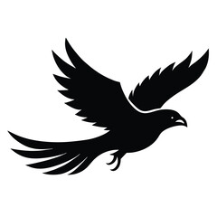 Obraz premium Flying Eagle Vector Illustration, Bird of Prey Graphic