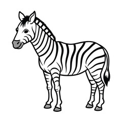 zebra line art vector on white background