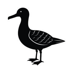 Albatross Silhouette Vector | Black and White Albatross Bird Illustration Design