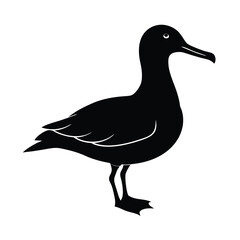 Albatross Silhouette Vector | Black and White Albatross Bird Illustration Design