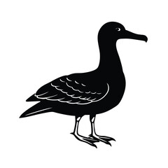 Albatross Silhouette Vector | Black and White Albatross Bird Illustration Design