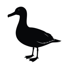 Albatross Silhouette Vector | Black and White Albatross Bird Illustration Design