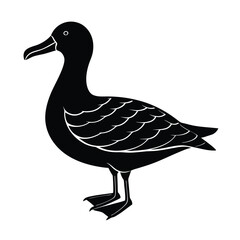 Albatross Silhouette Vector | Black and White Albatross Bird Illustration Design