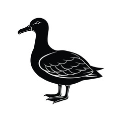 Albatross Silhouette Vector | Black and White Albatross Bird Illustration Design