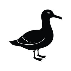 Albatross Silhouette Vector | Black and White Albatross Bird Illustration Design