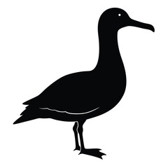 Albatross Silhouette Vector | Black and White Albatross Bird Illustration Design