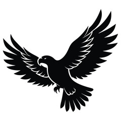 Fototapeta premium Flying Eagle Vector Illustration, Bird of Prey Graphic