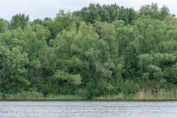 Spring view on picturesque river on natural park. Trees and plants water's edge with green...