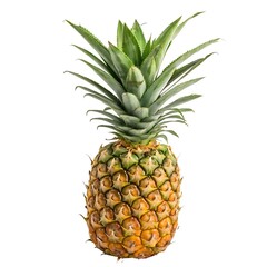 Ripe pineapple isolated on white background. 