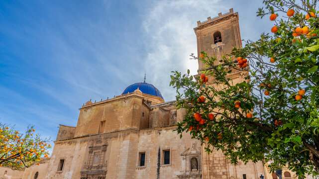 Basilica of Santa Maria in the city of Elche, Alicante.