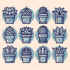 Various succulent plants in pots against a light background  