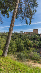 Fototapeta premium Altamira Palace or Elche Castle in Alicante.