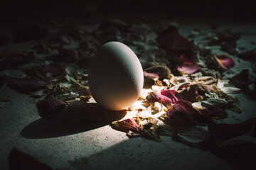 Glowing Egg Transforming into Colorful Darkness, Easter Eggs