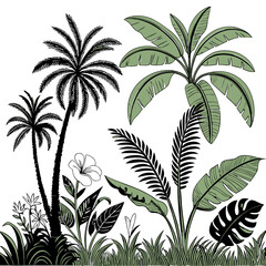 Tropical vintage botanical palm trees, banana tree, green plants floral seamless border white background. vector