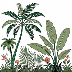 Tropical vintage botanical palm trees, banana tree, green plants floral seamless border white background. vector