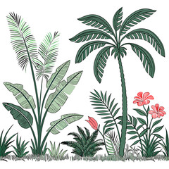 Tropical vintage botanical palm trees, banana tree, green plants floral seamless border white background. vector