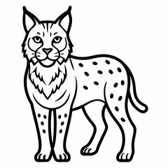 Bobcat outline icon on white background