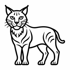 Bobcat outline icon on white background