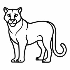 Cougar outline icon on white background