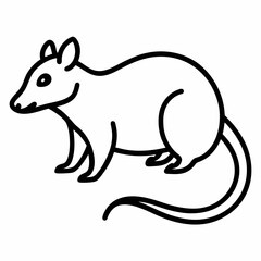 Opossum outline icon on white background