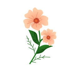 Flower icon beautiful plant growing floral elements. Flower collection design vector on white background.