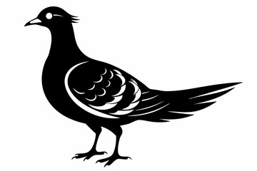 American woodcock silhouette black vector