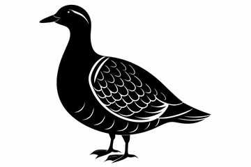 American woodcock silhouette black vector