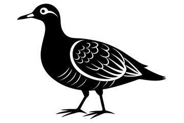 American woodcock silhouette black vector