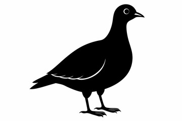 American woodcock silhouette black vector