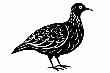 American woodcock silhouette black vector