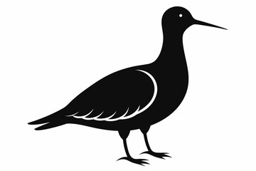 American woodcock silhouette black vector